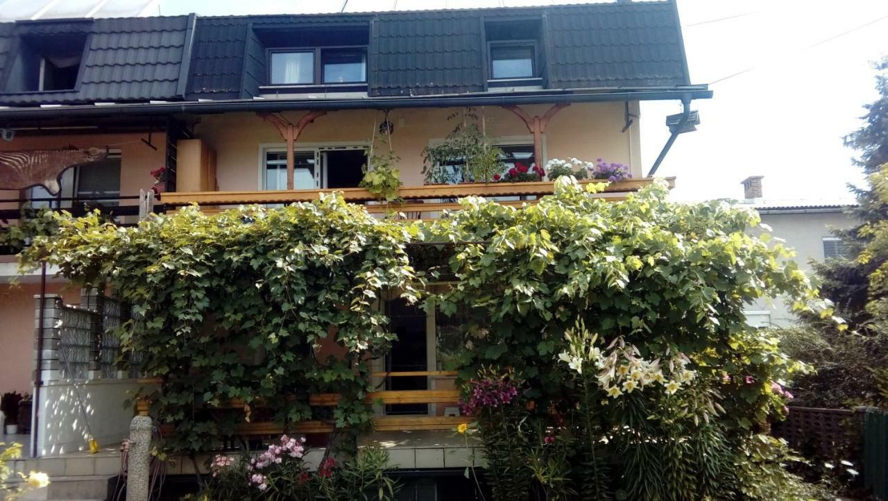 Apartma Meta Radovljica Buitenkant foto
